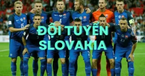 Đội Tuyển Slovakia: Hành trình vươn lên đỉnh vinh quang